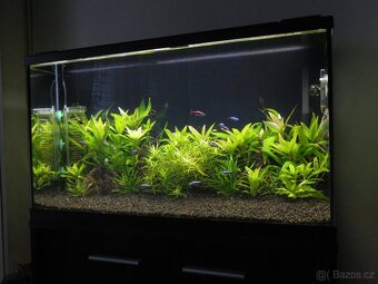 Akvárium Eheim Aquapro led 126 + akvarijní stolek Eheim - 7
