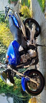 Honda CB 900 Hornet - 7