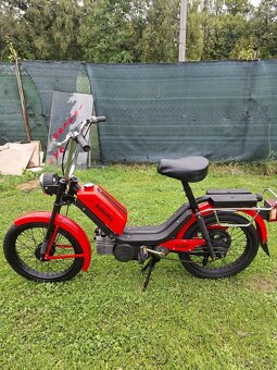 krásná BABETTA - 7