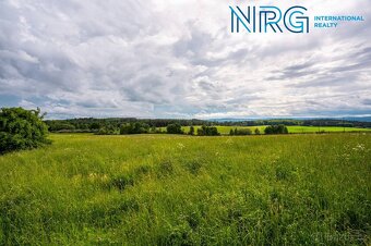 Prodej pozemku, 12123 m2, Týnec u Plané, Planá u Mariánských - 7