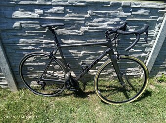 Kolo CTM Blade Race - 7