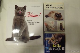 Knihy - motorky, zahrada, zámky, kočky, ... - 7