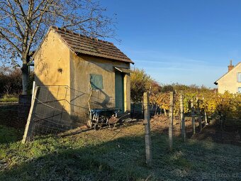 Prodej vinohradu - Petrov u Strážnice - 7