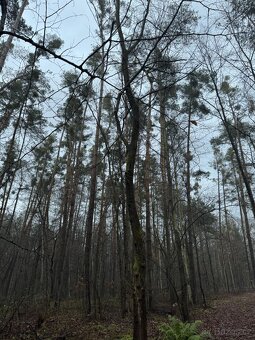 Prodám pozemky v k.ú. Břehy (2) - 7