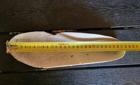 Brusle - stélka 27,5 cm (42,5 - 43) - 7
