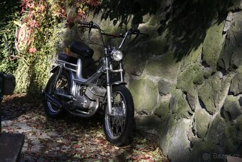 MALAGUTI FIFTY 50 TOP STAV VETERAN - 7