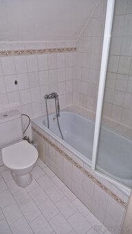 Pronájem domu 4+kk, Dolní Beřkovice, Mělník - 7