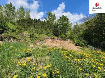 Prodej zahrady 332 m2, Meziboří - 7