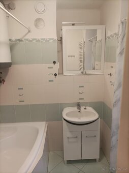 Pronájem bytu 1+1, 40m2-REZERVACE - 7