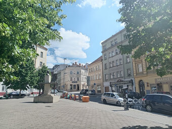 Pronájem bytu 1+kk, 32 m2, Praha 3 - Žižkov, ul. Chlumova. - 7
