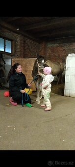 Prodám Appaloosa - 7