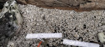Akvárium - 7