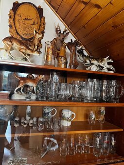 Trofeje -myslivost - 7