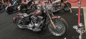 Harley Davidson - 7