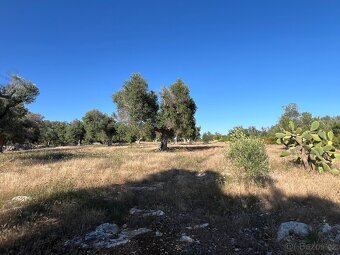 Stavební pozemek u moře 10.050m2 - 7