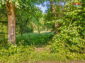 Prodej zahrady, 2102 m², Český Těšín - 7
