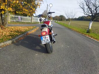 Yamaha XV 250 Virago - 7