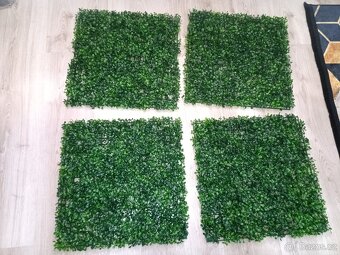 Sada umělých panelů Boxwood – 24 ks 50x50cm - 7
