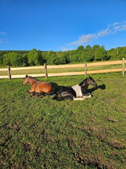 ustajnenie len 26km od hranic - 7