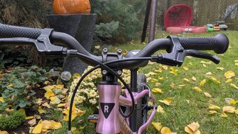 Růžové kolo Rascal - 14 - 7