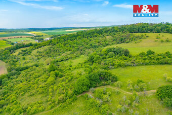 Prodej lesa, 2518 m², Chyňava - 7