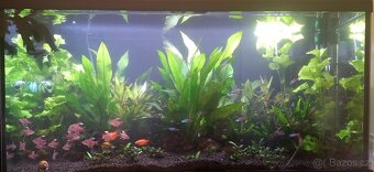 Akvárium 250l - Diversa - 7