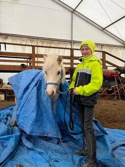 Prodám luxusního ponyho - 7