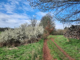 Prodám stav. pozemek v Trutnově - 7