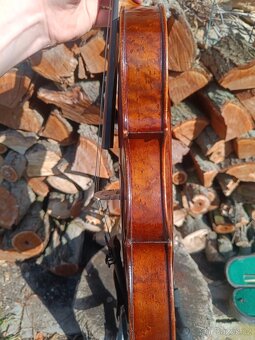 Housle Prokop očkový javor - 7