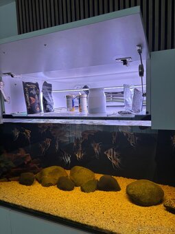 Velké akvarium - 7