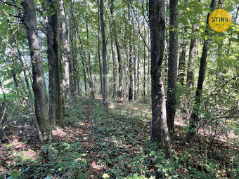 Prodej lesa, 9.789 m2, Hnojník, 133518 - 7