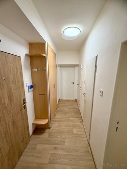 Pronájem bytu 2+1 - 7