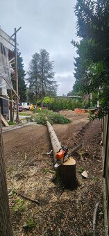 Stromolezec, arborista, udrzby zelene - 7