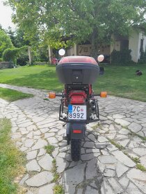 HONDA XL 600 V TRANSALP PD06 - 7