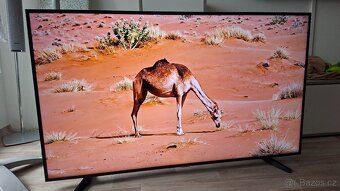 Smart Televize Samsung 4k Ultra HD 139 cm - 7