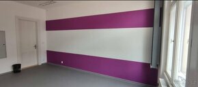 Malíř, lakýrník, malířské, lakýrnické práce - 7