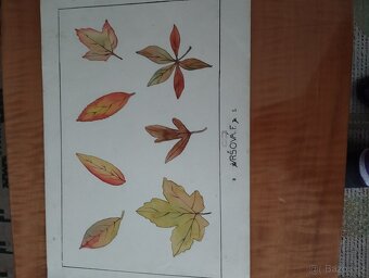 Staré výkresy obrázky - 7