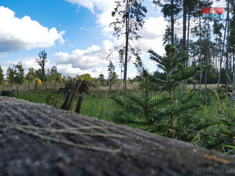 Prodej lesa, 2678 m², Chotěmice - 7