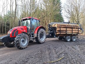 Palivové dřevo sypané, rovnané, tvrdé, měkké - 7