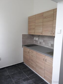 Ubytování Penzion Malák – apartmánový dům v Jablonném nad Or - 7