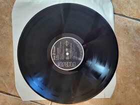 Prodám LP vinyl : 2-LP-Set: GREENPEACE 1989 - 7