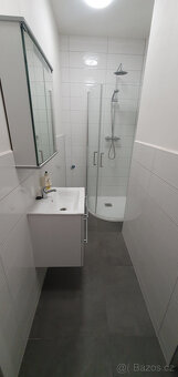 Pronájem 1+1, Krupka - Bohosudov - 7