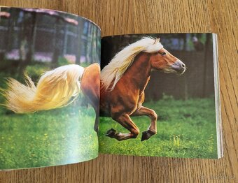 Horses (CubeBook, 2010) - 7
