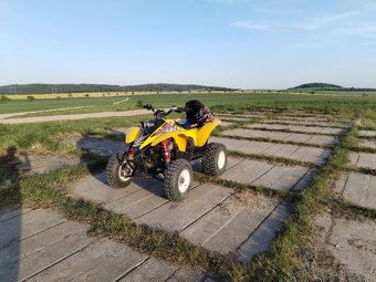 Polaris Trial Blazer 250 2t - 7