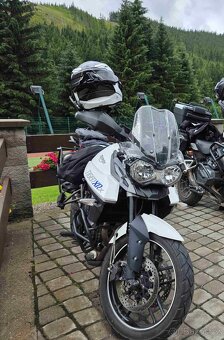 TRIUMPH tiger 800 - 7