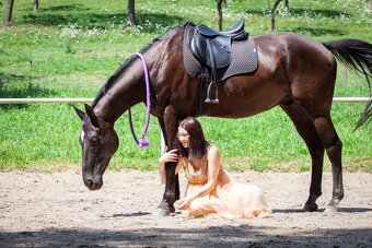 Pronájem valacha - 7