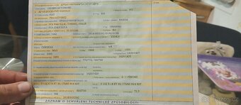 Fiat panda 2021 - 7