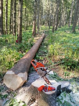 Lesnické práce - 7