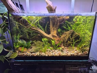 Akvarium 40×30×25  Š.V.H - 7