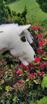 Hobby horse - 7